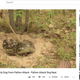 Illustration for article titled YouTube Starts Banning Fake Rescue Videos of Snakes Attacking Puppies and Kittens